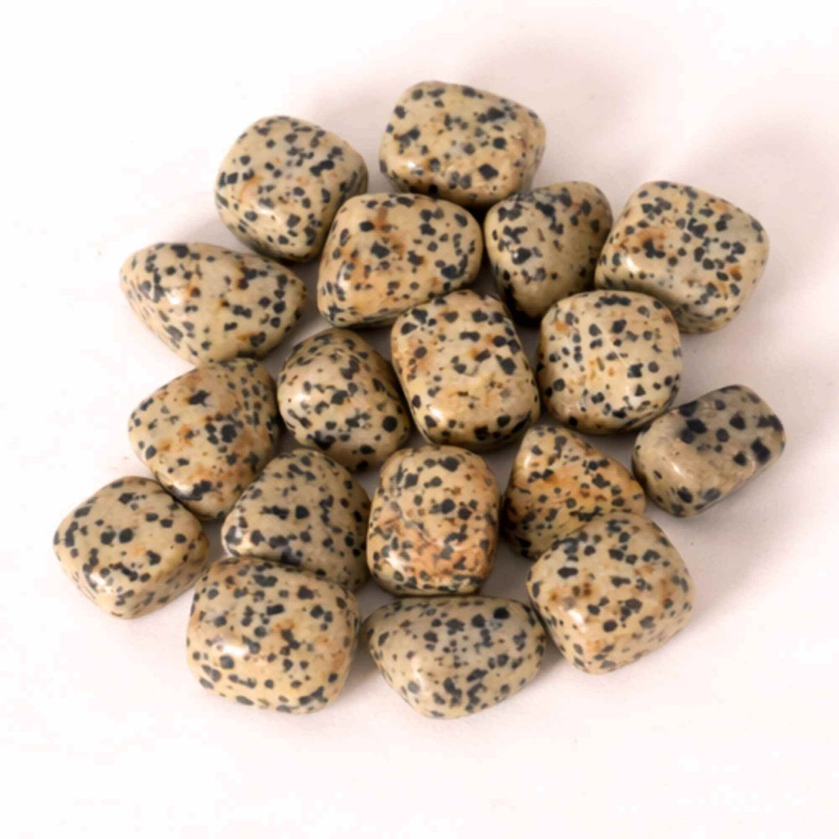 Piatra rulata de Jasp Dalmatian - Aduce echilibru, stabilitate si o legatura blanda cu natura