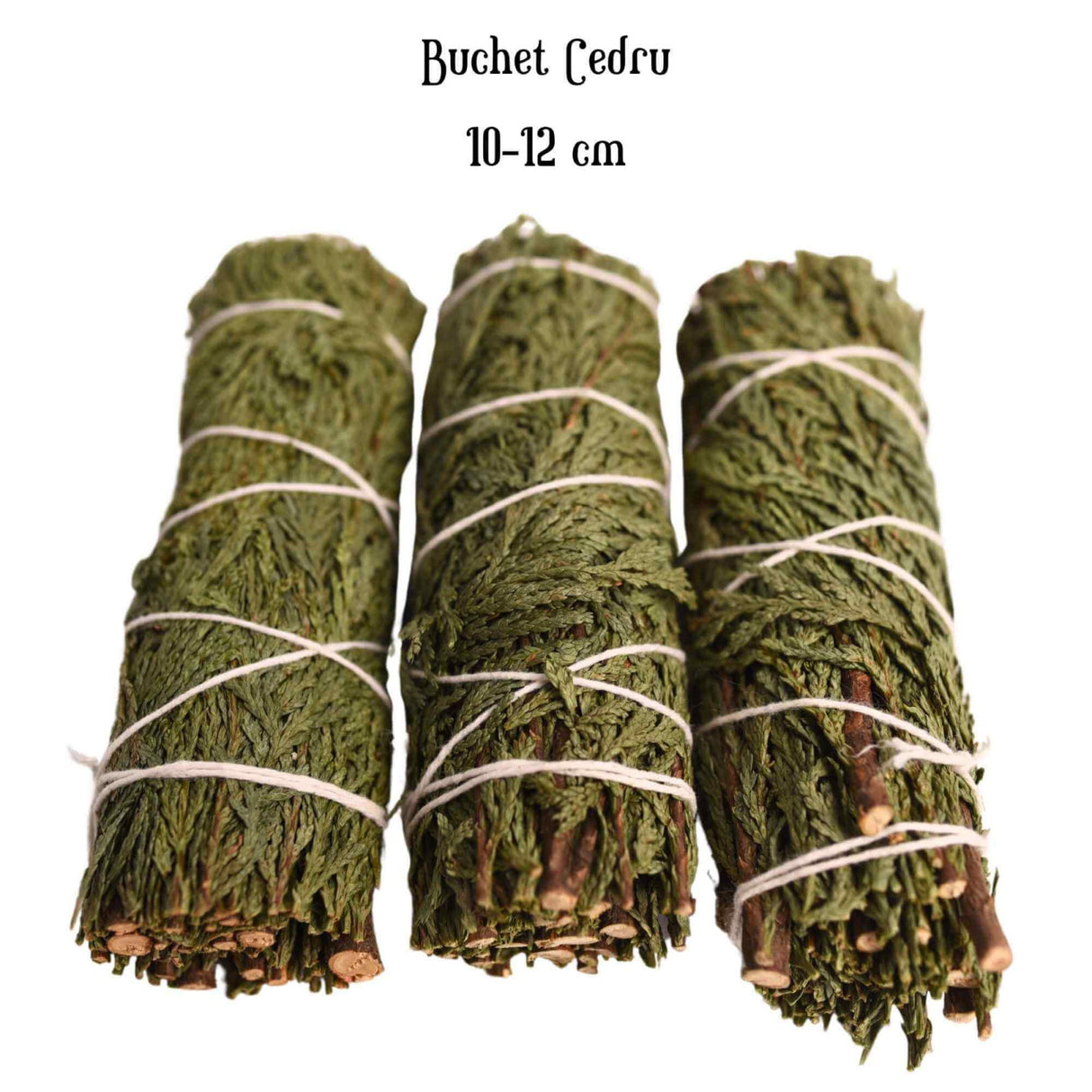 Buchet Cedru - Protectie si Purificare Energetica