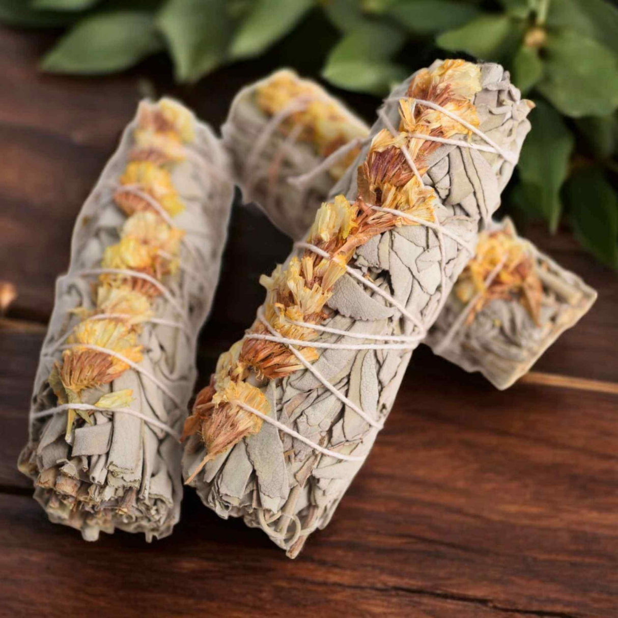 Buchet Salvie Alba California cu Garofite Galbene/Sinuata - Energie Pozitiva si Claritate