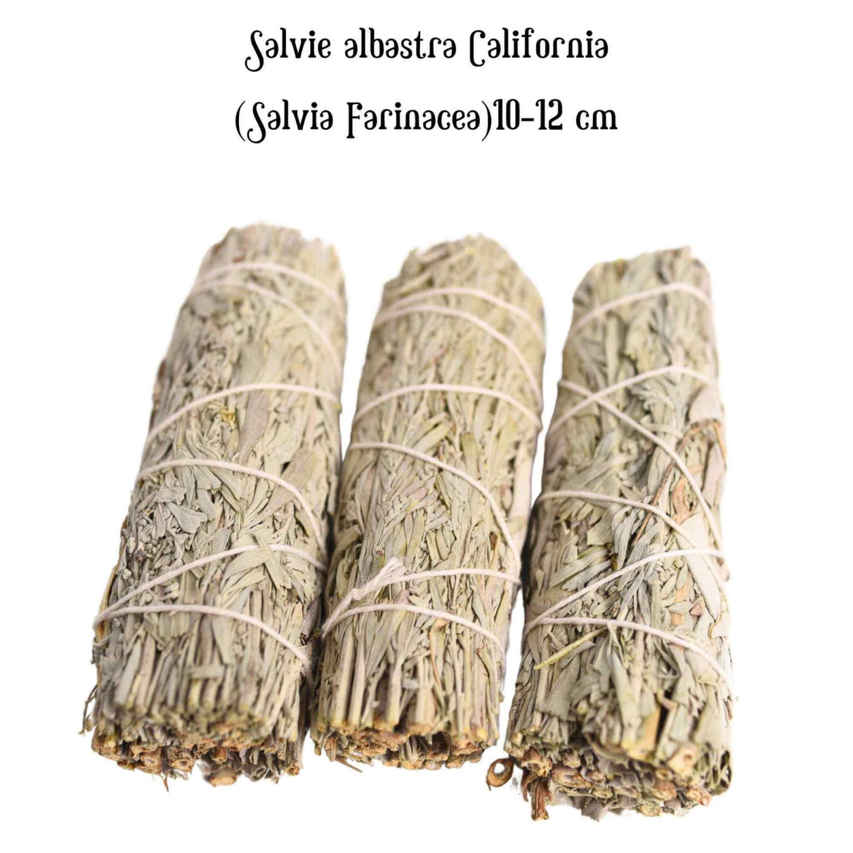 Buchet Salvie Albastra California - Protectie si Claritate Mentala