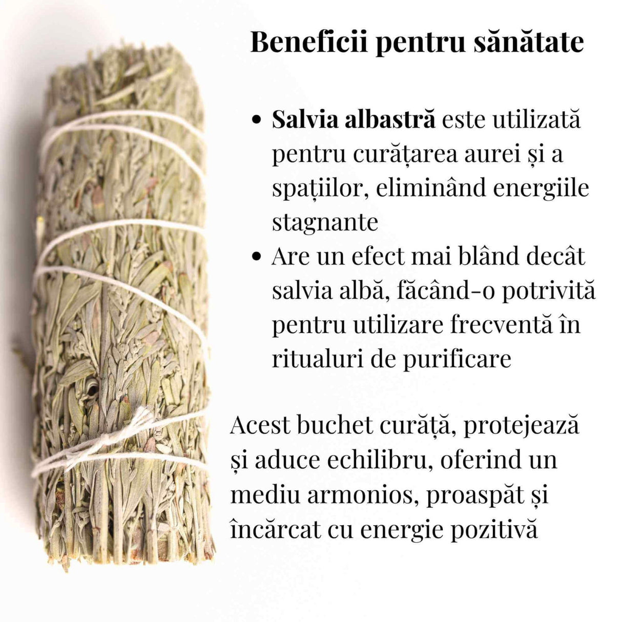 Buchet Salvie Albastra California - Protectie si Claritate Mentala