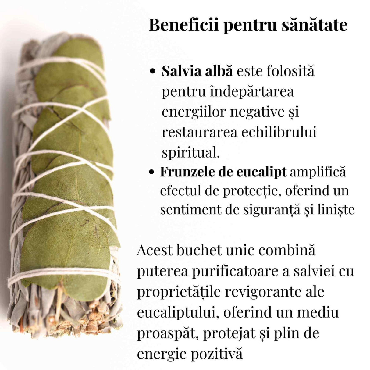 Buchet Salvie Alba California cu Frunze de Eucalipt - Purificare si Revitalizare