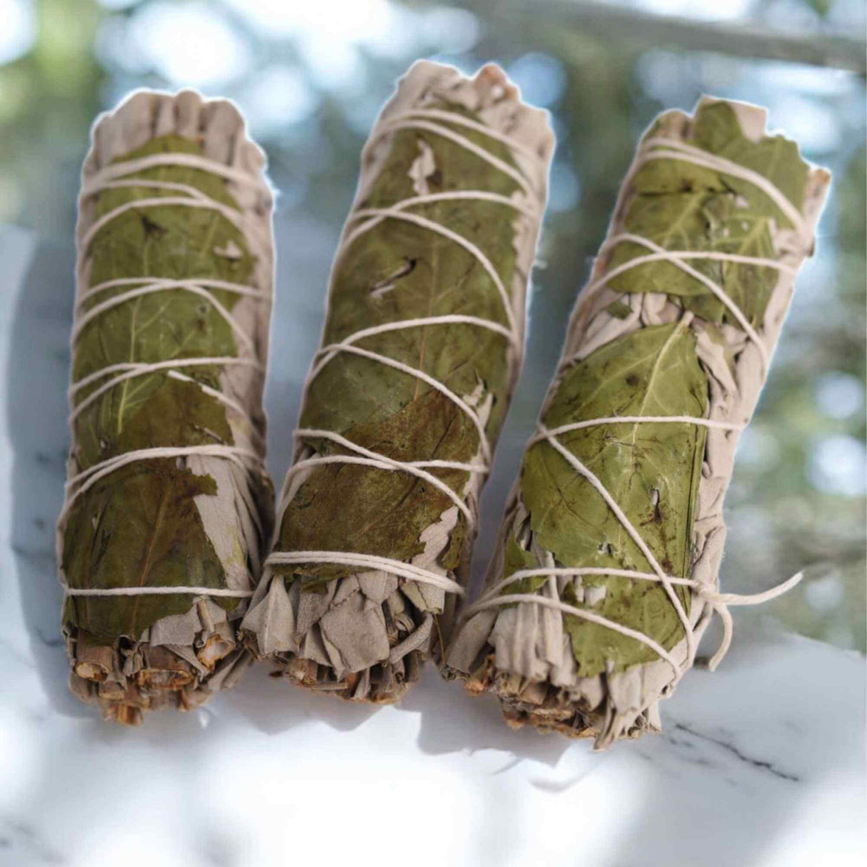 Buchet Salvie Alba California cu Busuioc - Purificare si Armonie Energetica