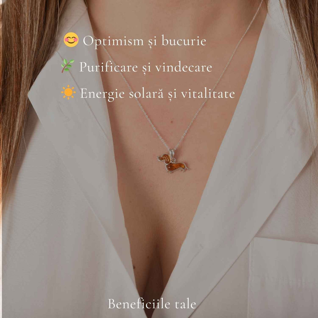 Colier Argint 925 Catel Teckel cu Chihlimbar Natural - Bucurie si Vitalitate