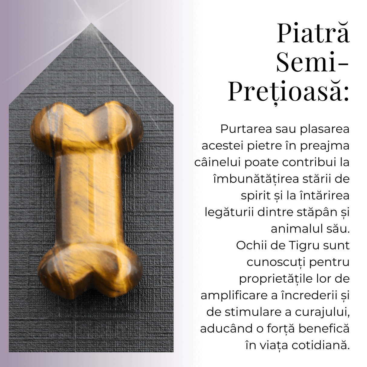 Figurina in Forma de Os din Cristale Naturale 30mm - Ochi de tigru
