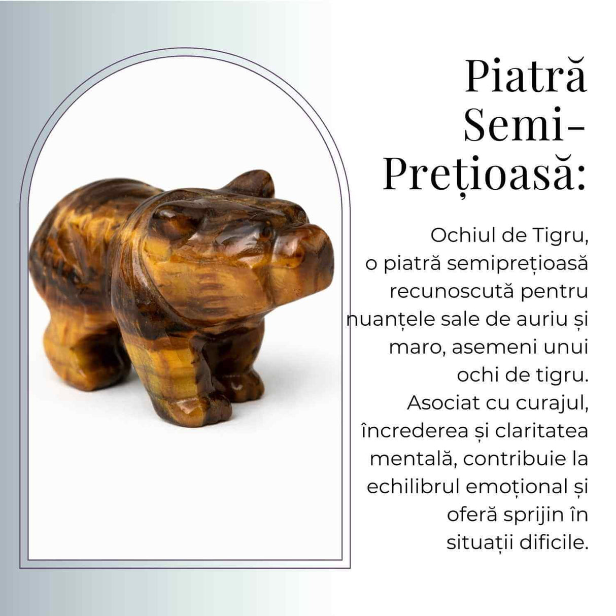 Urs Protector din Ochi de Tigru - Forta Interioara si Stabilitate Energetica