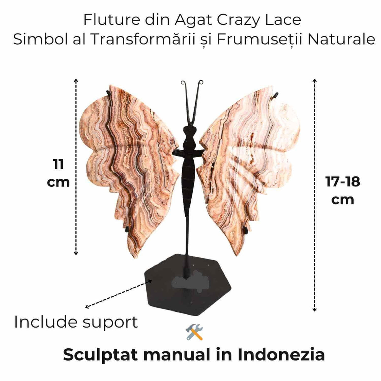 Fluture cu aripi din Crazy Lace Agat - Simbol al transformarii si frumusetii naturale