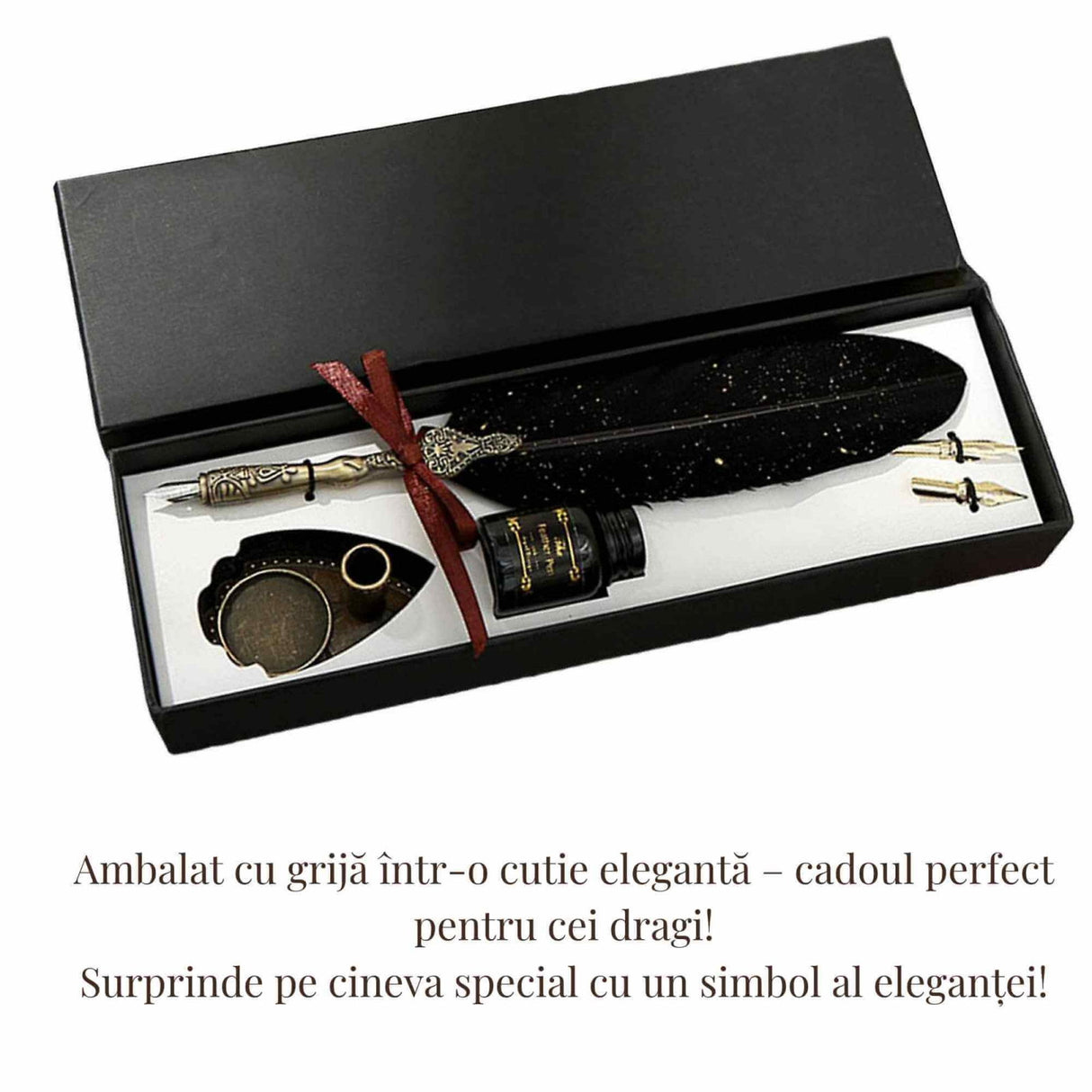 Set Stilou cu Pana - Caligrafie eleganta, cadoul perfect pentru orice ocazie