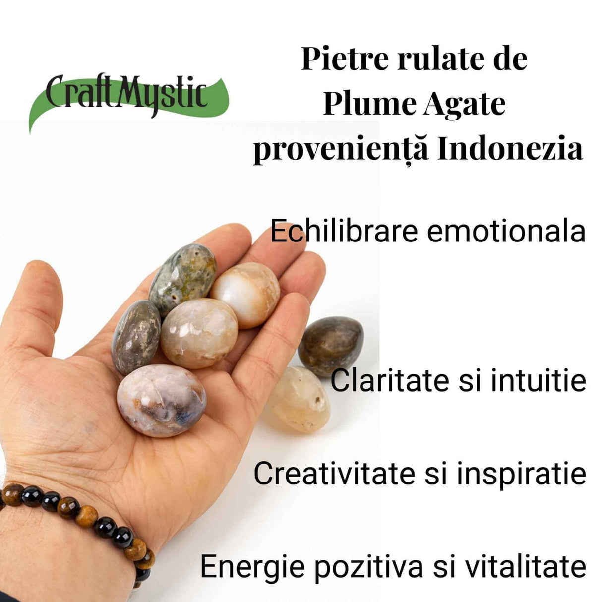 Piatra Naturala Plume Agate din Indonezia – Claritate, Echilibru si Armonie Interioara