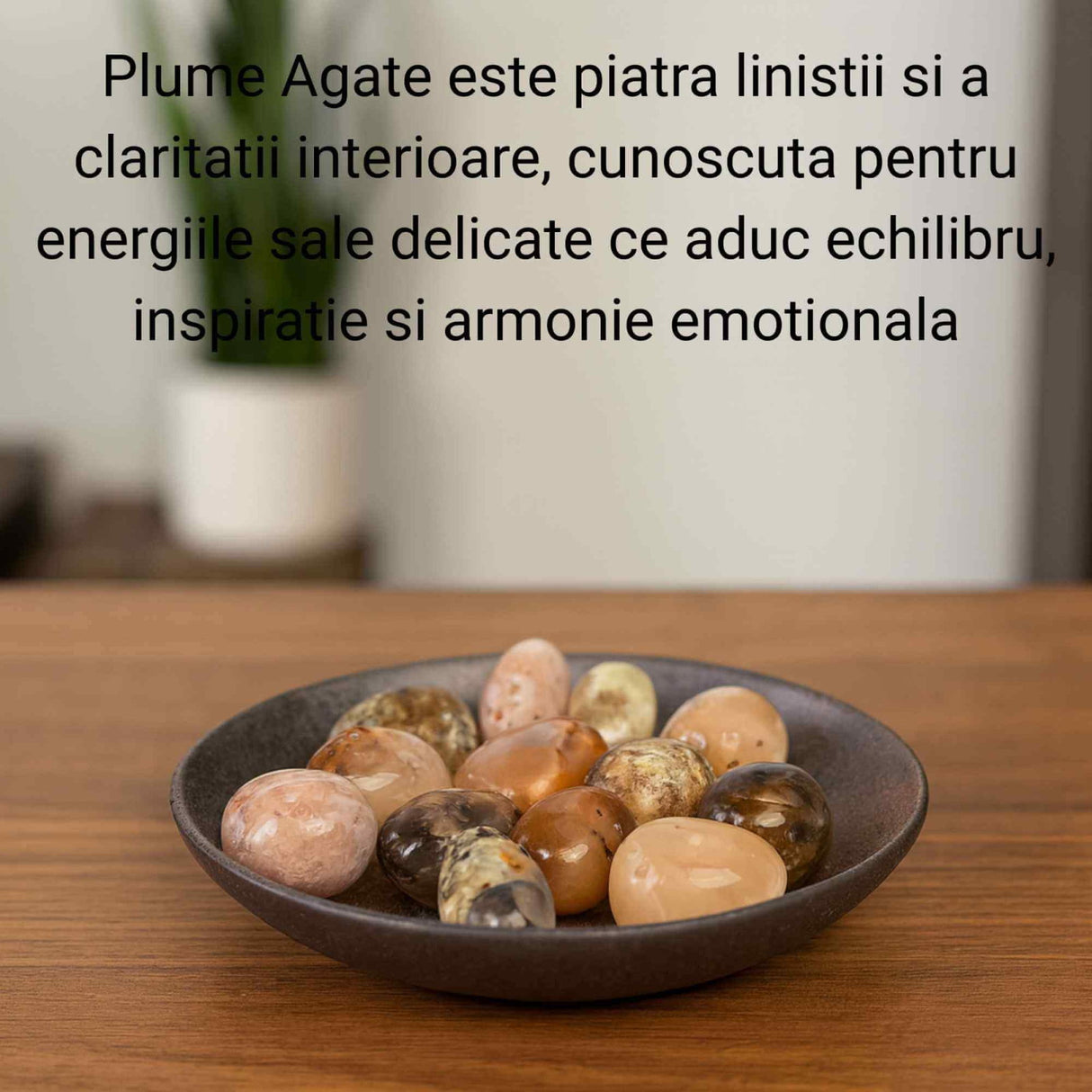 Piatra Naturala Plume Agate din Indonezia – Claritate, Echilibru si Armonie Interioara