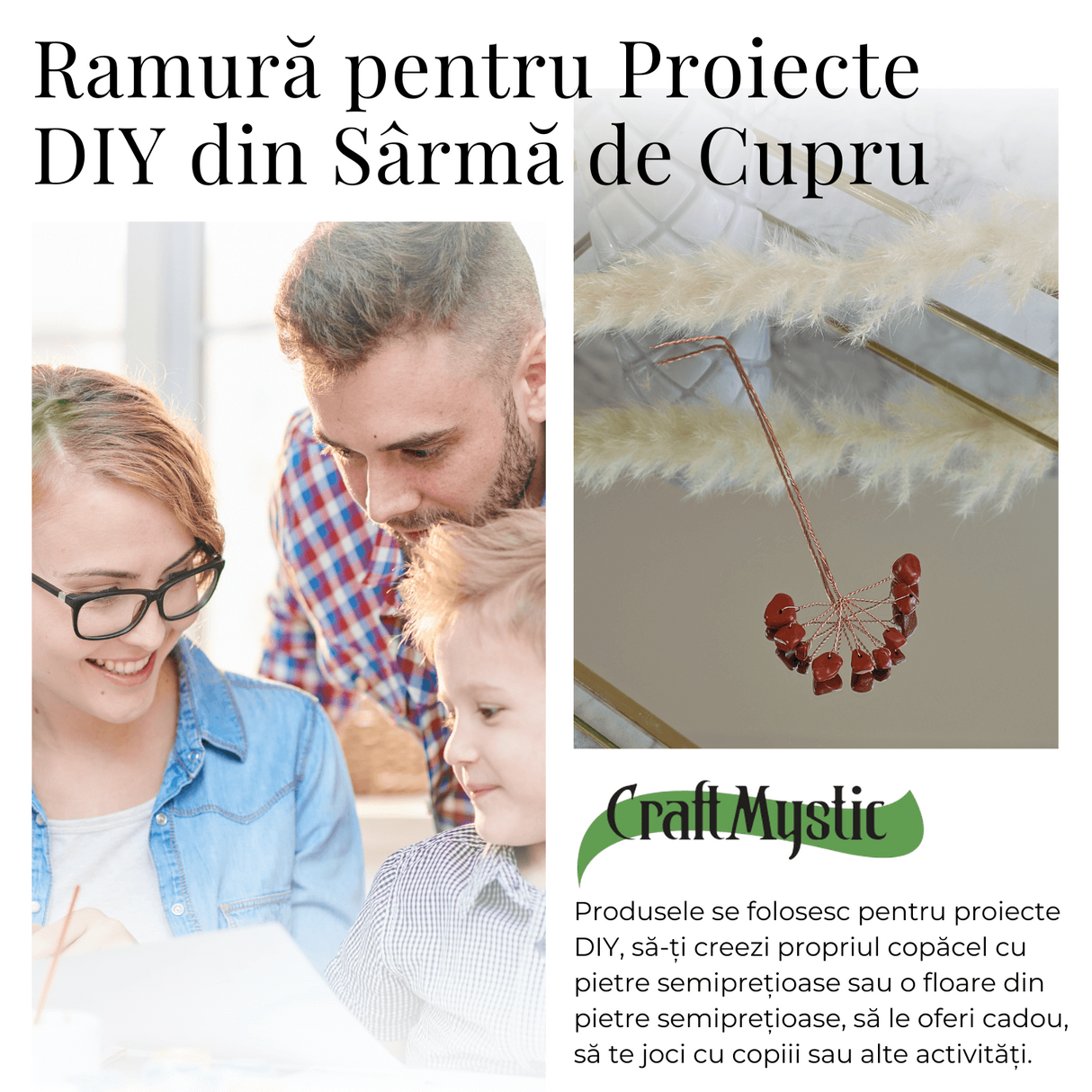 Ramurica Creativa DIY cu Pietre Naturale Jasp Rosu (9 Pietricele)