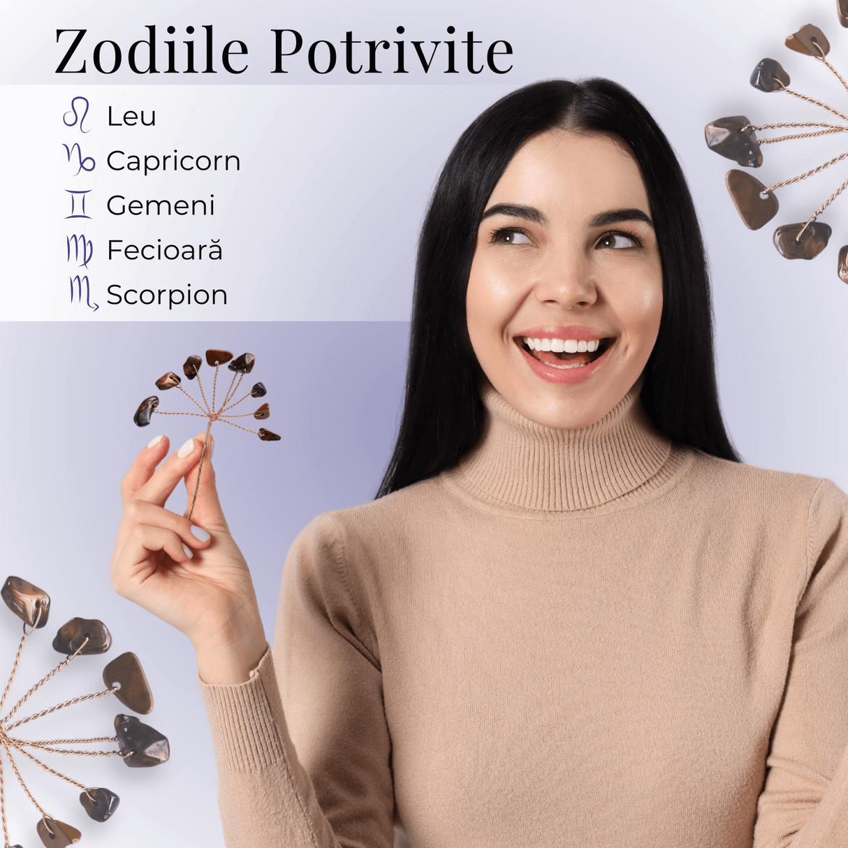 Ramurica Decorativă DIY cu Pietre Naturale Ochi de Tigru (9 Pietricele)