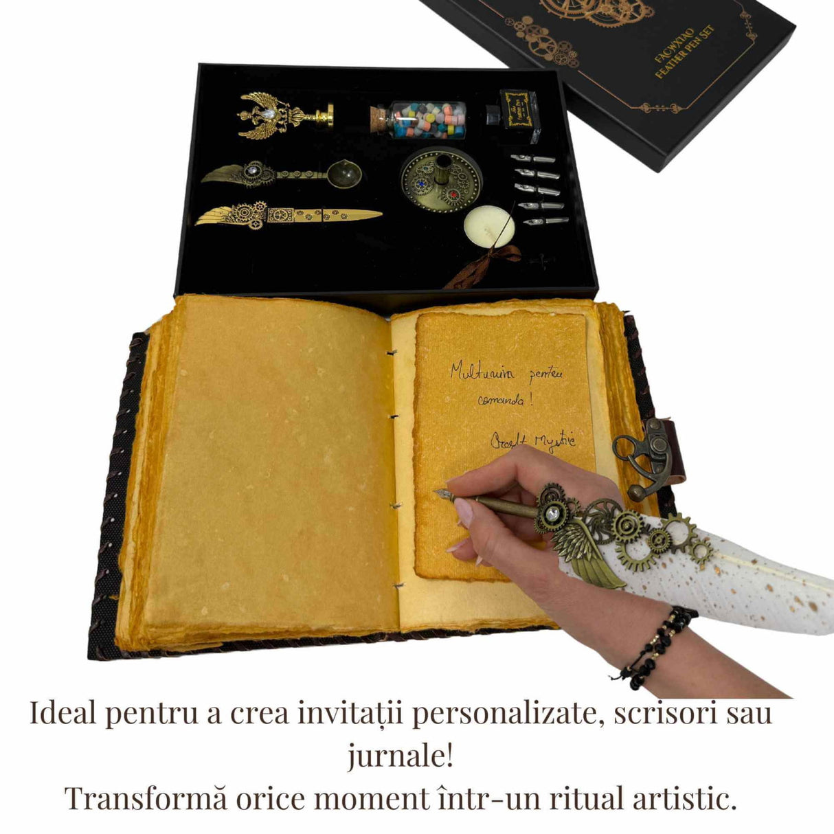 Set Stilou Pana cu Accesorii – Scris Artistic, Sigilii si Cadou Premium