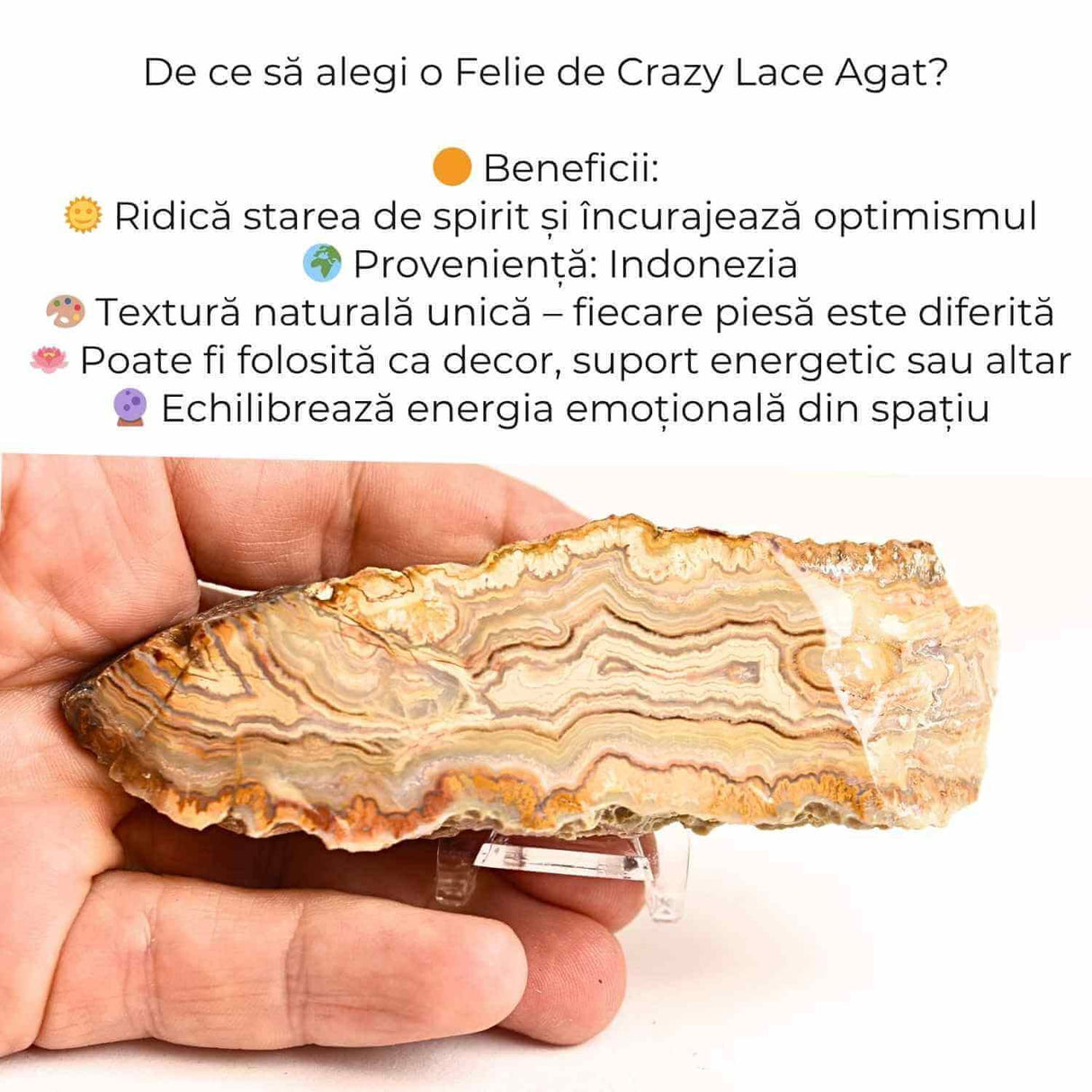 Felie 10-11 cm din Agat Crazy Lace - Sculptata manual, energie în forma pura