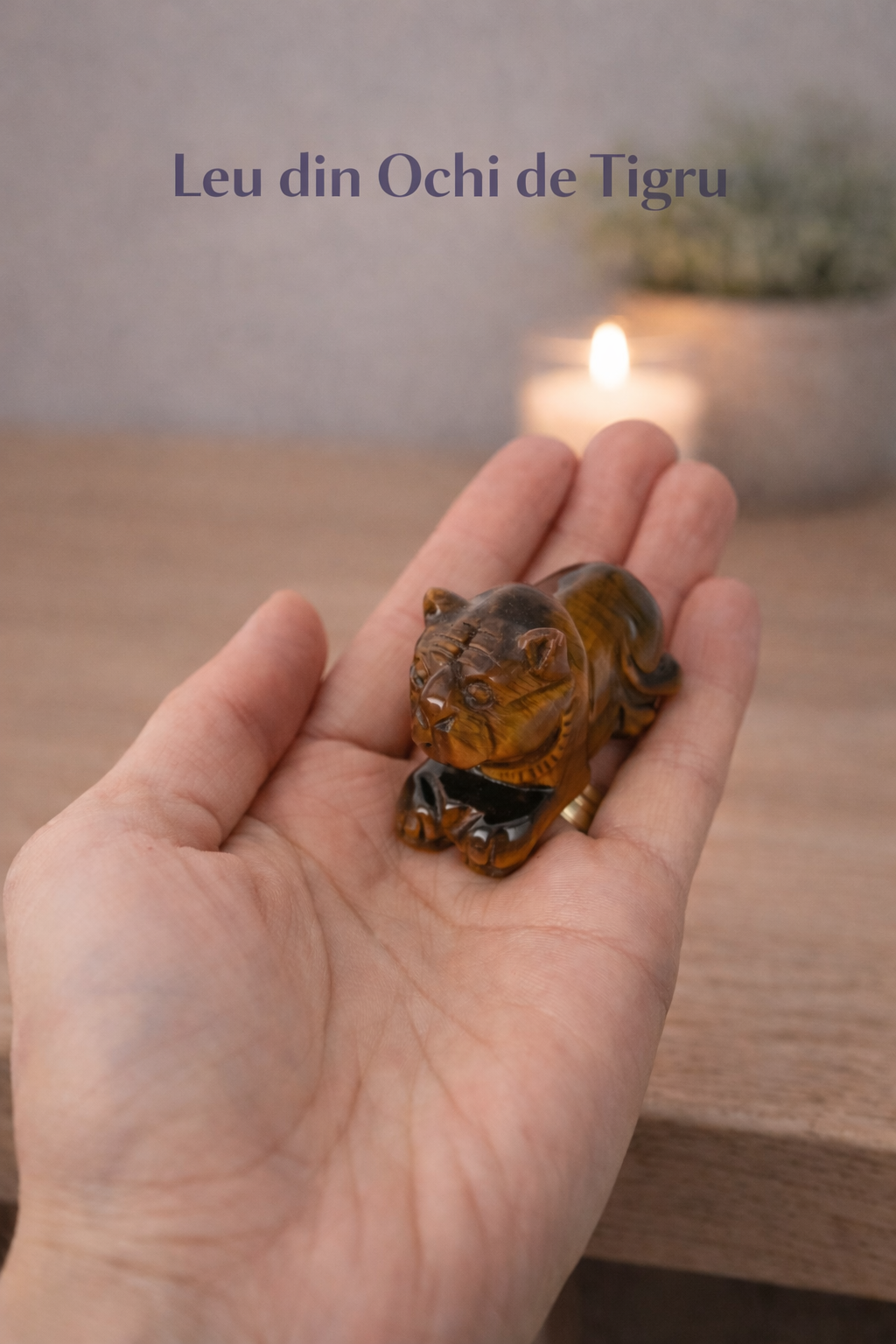 Leu Sacru din Ochi de Tigru - Putere Interioara si Protectie Energetica