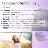 Inima Sculptata Manual de 50mm cu 7 Tipuri de Pietre Naturale pentru Cele 7 Chakre