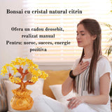 Bonsai cu cristale naturale citrin, supranumit \\"copacul banilor\\" - Copacelul cu inaltimea de 25 cm reprezinta cadoul perfect pentru prosperitate, succes, energie pozitiva