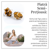 Cercei argintii cu Ochi de Tigru brut - Protectie, curaj si claritate mentala