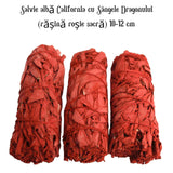 Buchet Salvie Alba California cu Sangele Dragonului - Protectie si Putere Energetica
