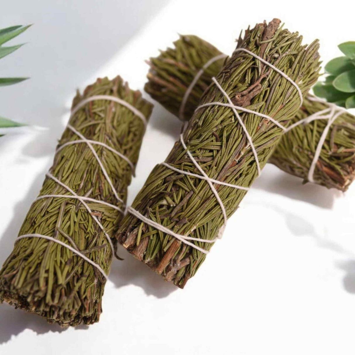 Buchet Rozmarin - Claritate Mentala si Protectie Energetica