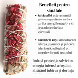 Buchet Salvie Alba California cu Garofite Rosii / Sinuata - Pasiune si Protectie