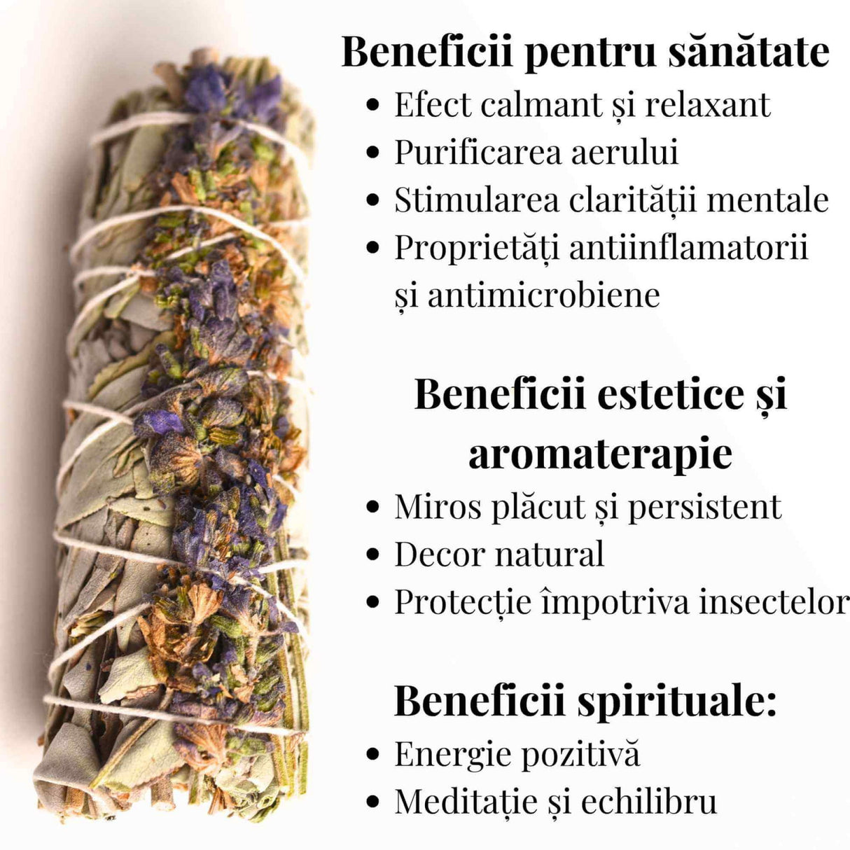 Buchet Salvie Alba California cu Lavanda 10-11 cm- Pacea si Purificarea