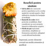 Buchet Salvie Alba California cu Cedru si Flori de Paie - Purificare si Protectie