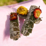 Buchet Salvie Alba California cu Cedru si Flori de Paie - Purificare si Protectie