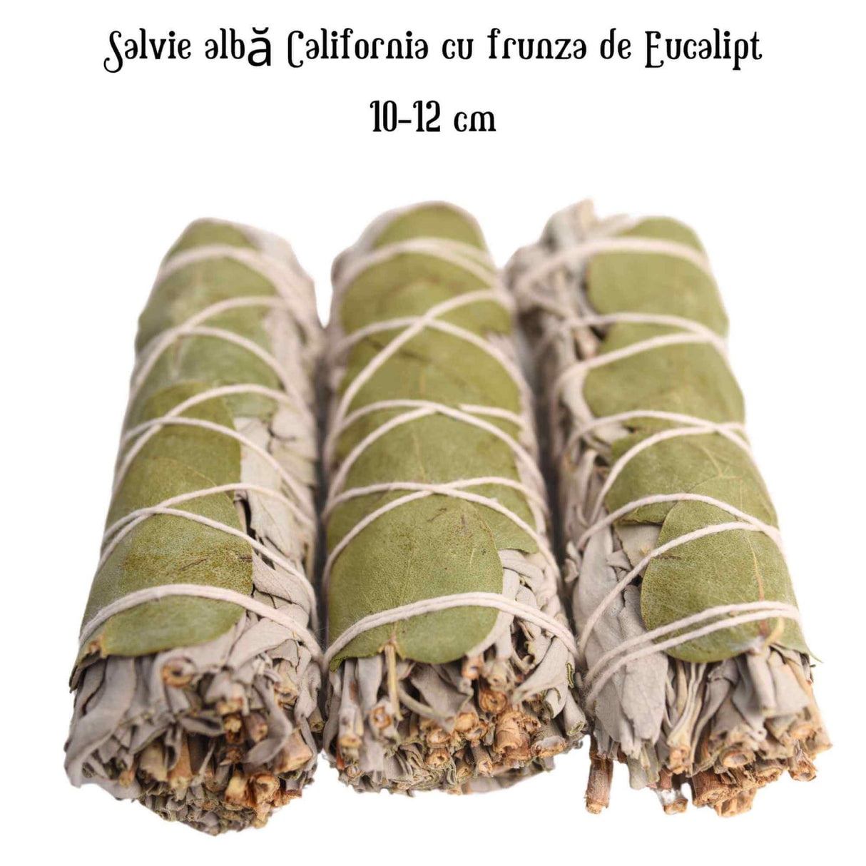 Buchet Salvie Alba California cu Frunze de Eucalipt - Purificare si Revitalizare