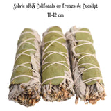 Buchet Salvie Alba California cu Frunze de Eucalipt - Purificare si Revitalizare