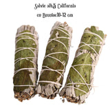 Buchet Salvie Alba California cu Busuioc - Purificare si Armonie Energetica