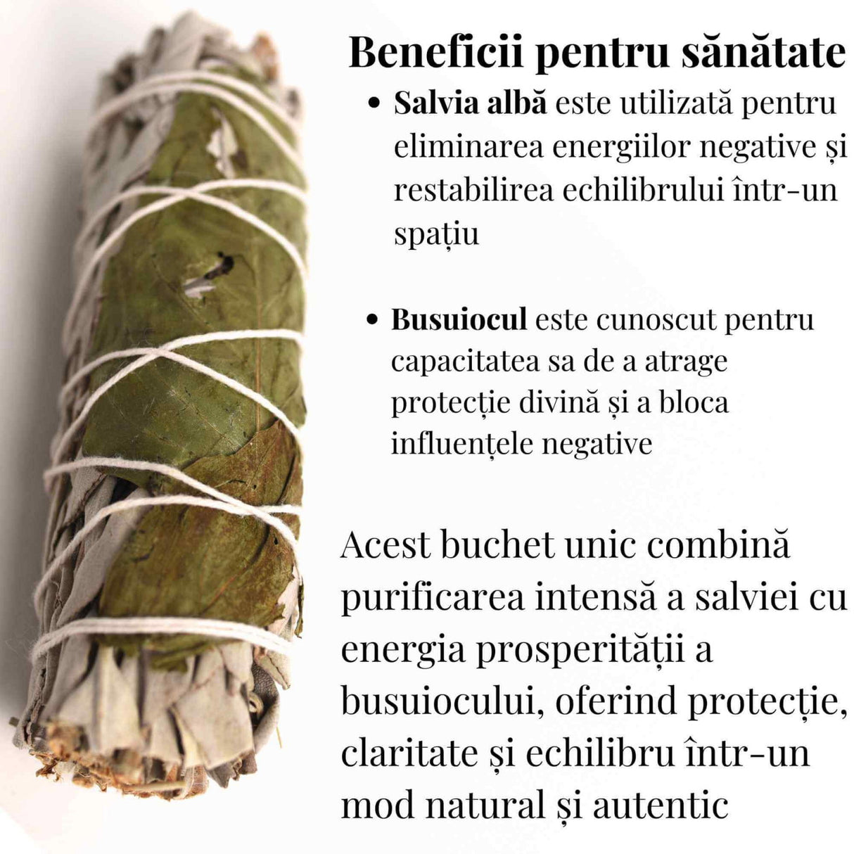 Buchet Salvie Alba California cu Busuioc - Purificare si Armonie Energetica
