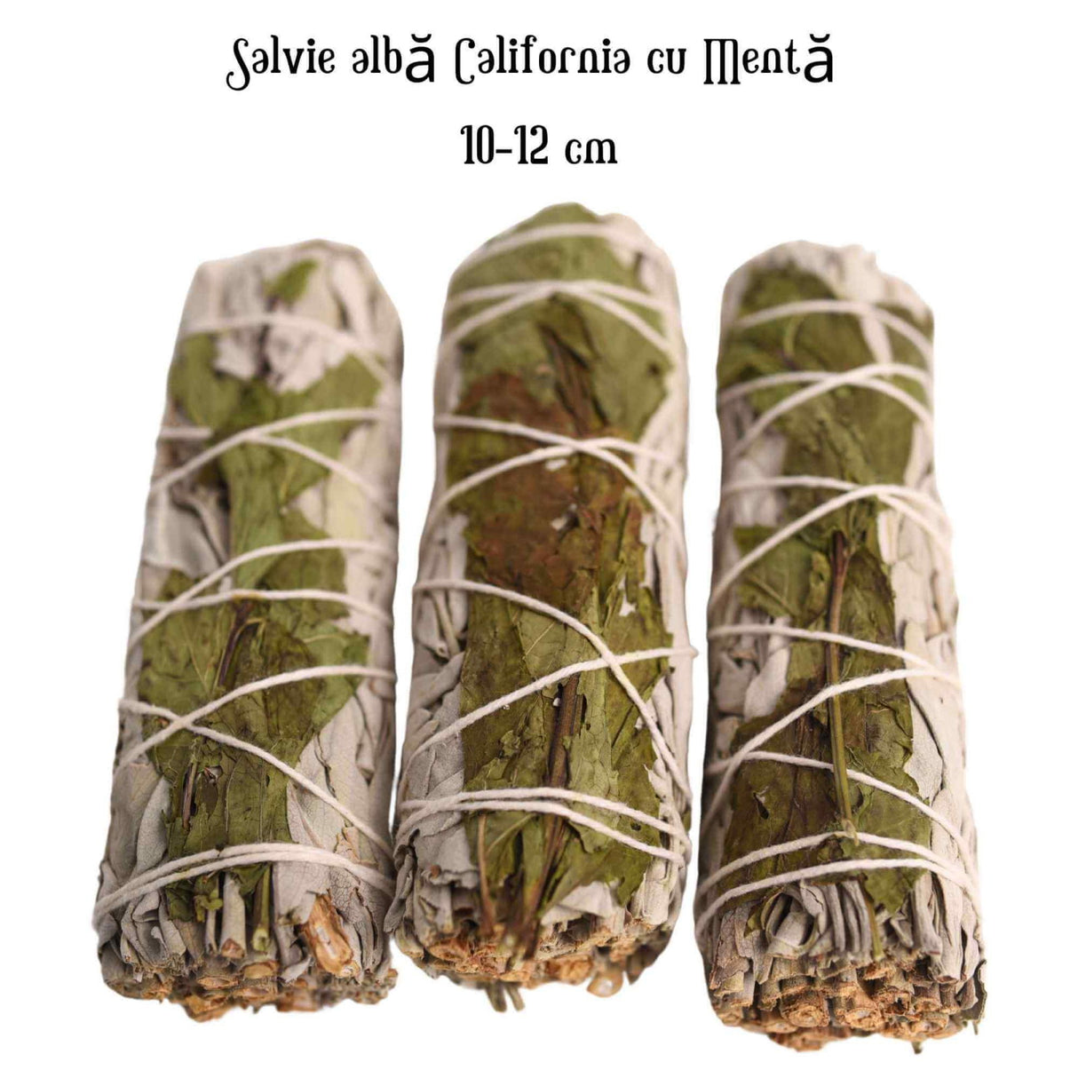 Buchet Salvie Alba California cu Menta - Purificare si Revitalizare