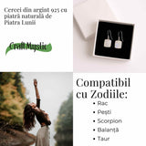 Cercei Argint 925 cu Piatra Lunii Curcubeu Patrat - Intuitie si Echilibru Emotional