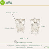 Cercei Argint 925 cu Cuart de Stanca Brut – Claritate si Energie Pozitiva