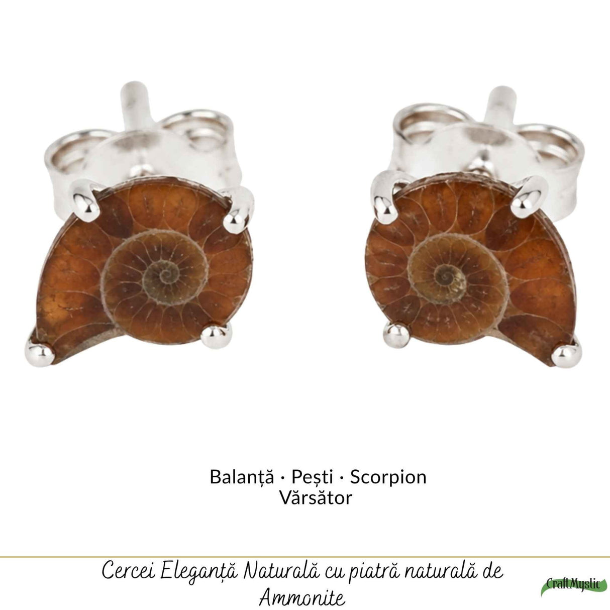 Cercei Argint 925 cu Amonit Natural în Forma de Melc – Echilibru si Evolutie