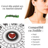 Calm si Echilibru Interior - Cercei Lungi din Argint 925 cu Piatra Naturală de Ametist