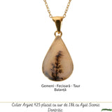 Colier Argint 925 Placat Aur 18K cu Agat Scenic Dendritic Natural – Echilibru si Conexiune cu Natura