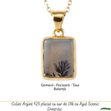 Colier Argint 925 Placat Aur 18K cu Agat Scenic Dendritic Dreptunghi – Echilibru si Claritate