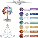 Mini Copacel pietre semipretioase 7 chakra pe felie de agat - decor cristal feng shui, accesorii pentru birou, cristale pentru meditatie