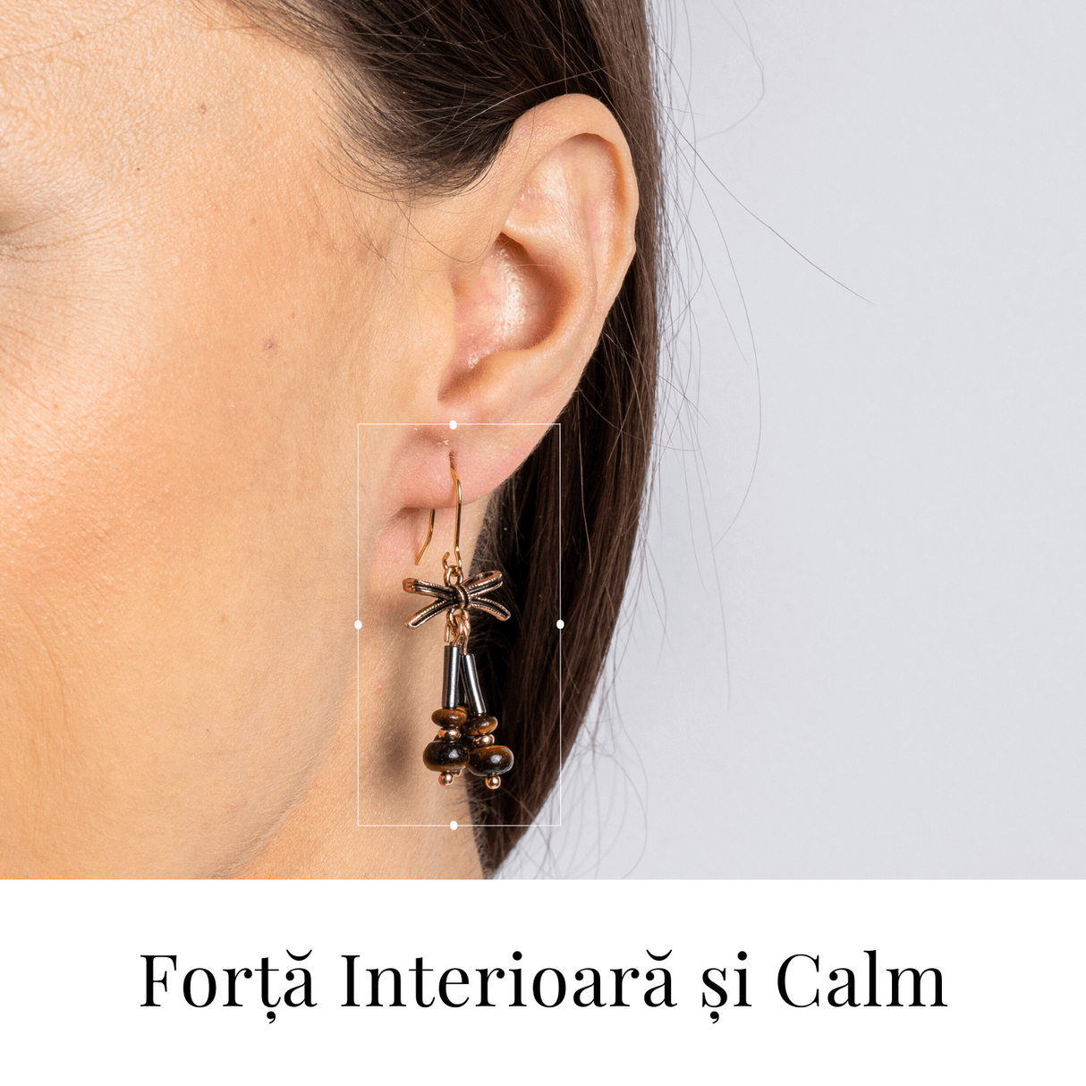 Forta Interioara si Calm - Cercei cu Hematit si Ochi de Tigru