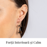 Forta Interioara si Calm - Cercei cu Hematit si Ochi de Tigru