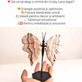 Fluture cu aripi din Crazy Lace Agat - Simbol al transformarii si frumusetii naturale