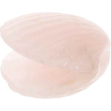 Figurina 4 cm din cristal natural Cuart Roz in forma de scoica, ornamente pentru acvariu, marturie tip cadou de nunta, proiecte DIY