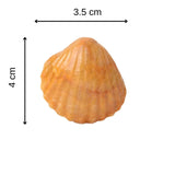 Figurina 4 cm din cristal natural Ametist in forma de scoica, ornamente pentru acvariu, marturie tip cadou de nunta, proiecte DIY