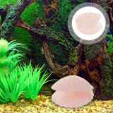 Figurina 4 cm din cristal natural Cuart Roz in forma de scoica, ornamente pentru acvariu, marturie tip cadou de nunta, proiecte DIY