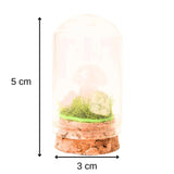 Figurina din piatra naturala semipretioasa Ochi de tigru in forma de ciuperca in mini terrarium 5 cm din sticla