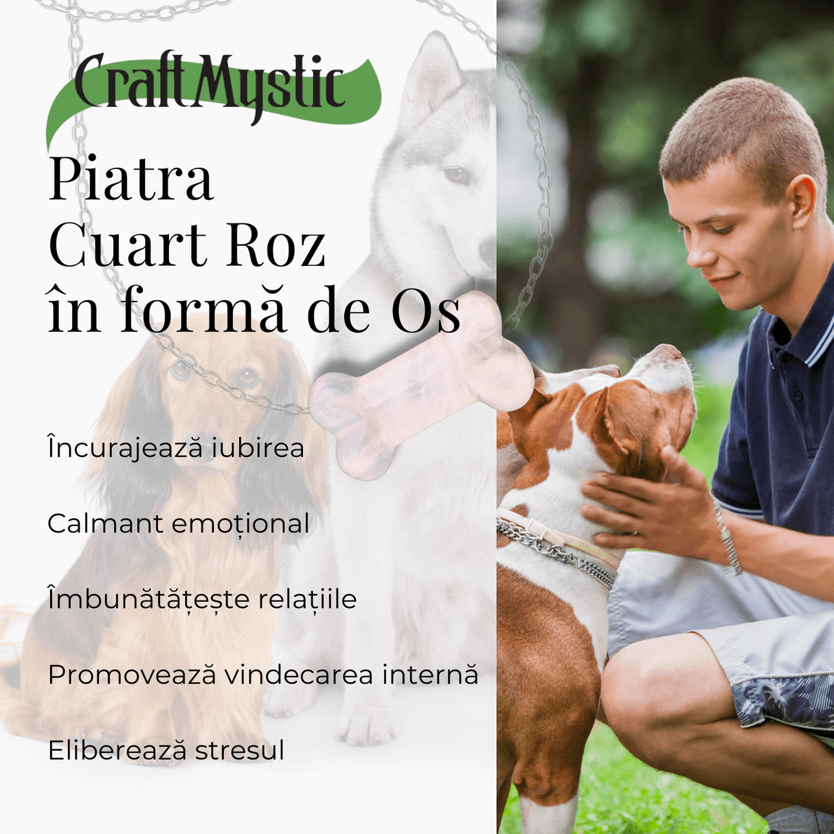 Figurina in Forma de Os din Cristale Naturale 30mm - Cuart Roz