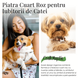 Figurina in Forma de Os din Cristale Naturale 30mm