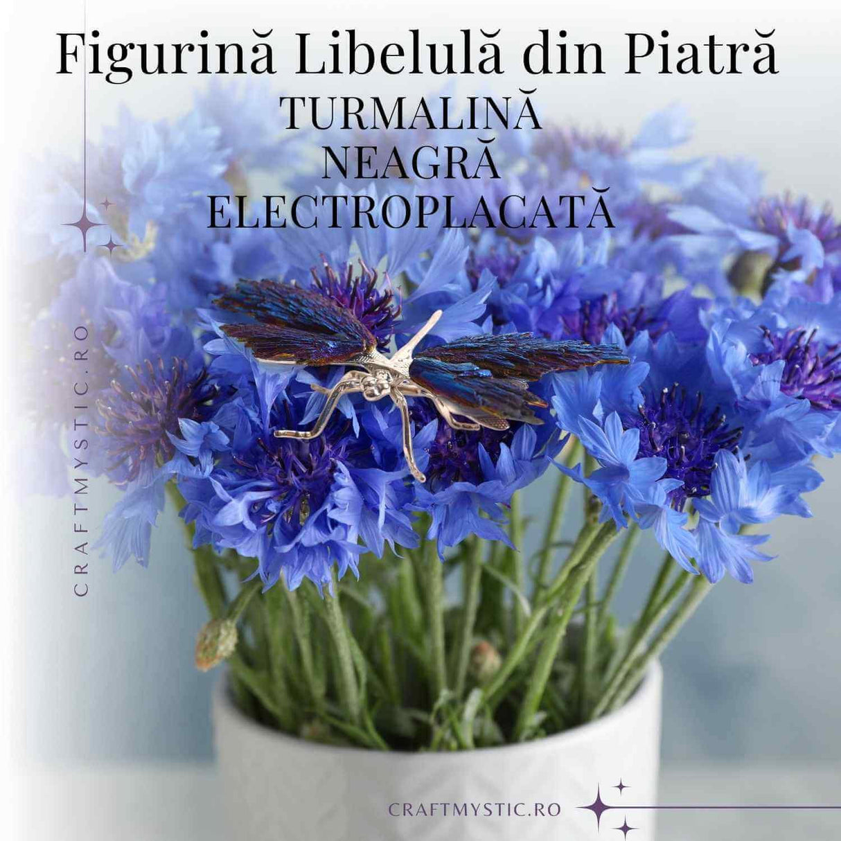 Amuleta Transformare - Libelula Turmalina Neagra Curcubeu
